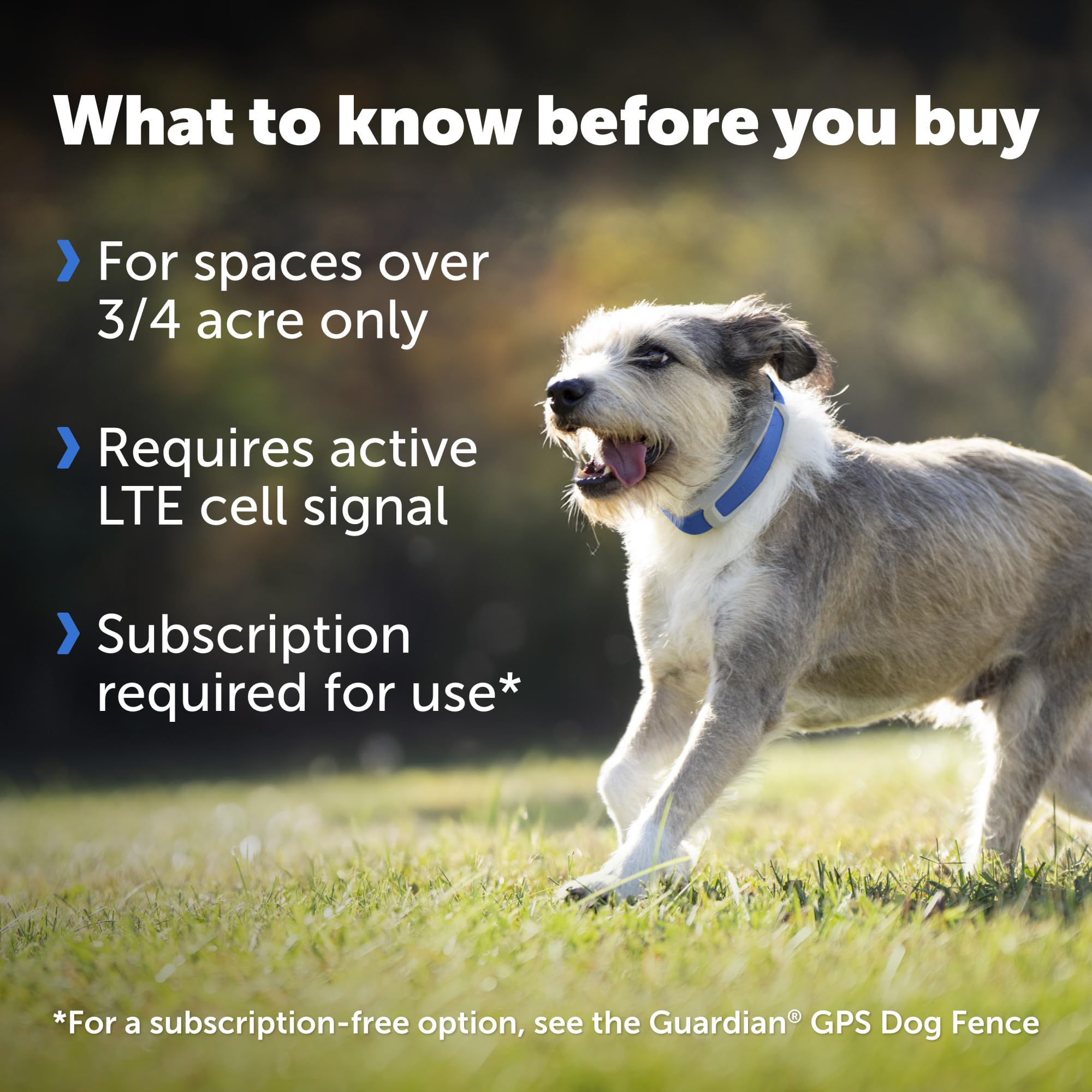 Petsafe Guardian Gps + Tracking Dog Fence Collar With Add'L Pink Collar Strap - Wireless Dog Fence With Real-Time Tracking - Mos